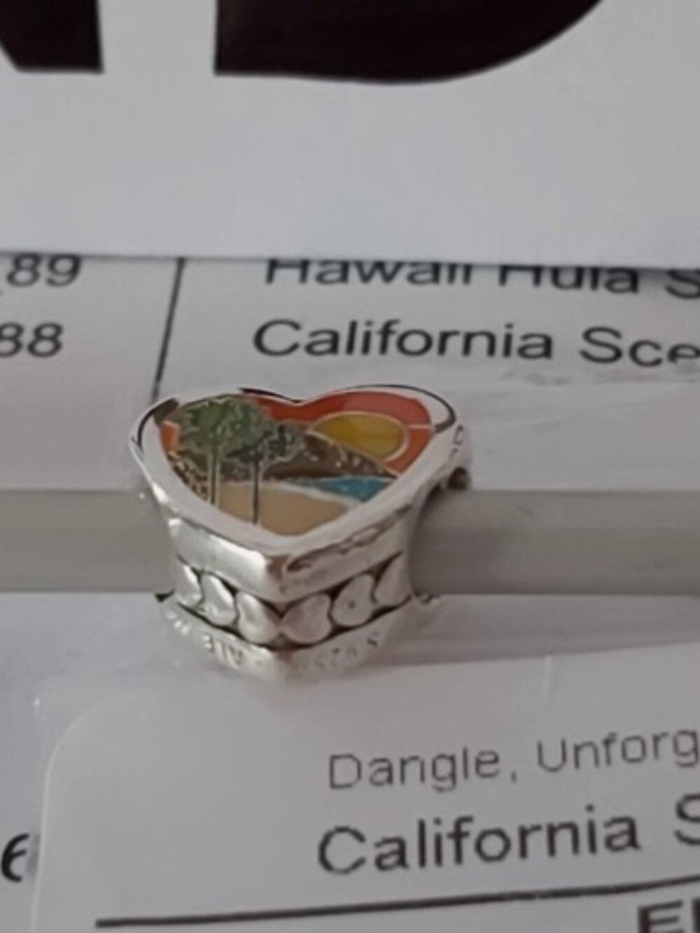 AUTH PANDORA Sterling Silver doubled-sided California Scenery Charm ENG792015_88 - Picture 12 of 14
